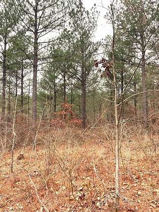 1.19 Acres of Residential Land for Sale in Broken Bow, Oklahoma