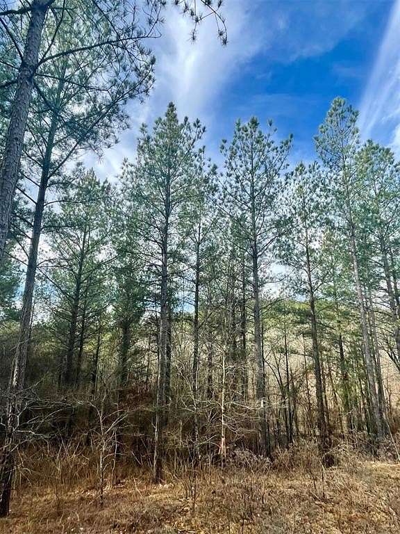 1.2 Acres of Residential Land for Sale in Broken Bow, Oklahoma