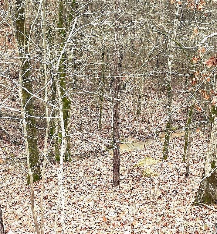 1.198 Acres of Residential Land for Sale in Broken Bow, Oklahoma