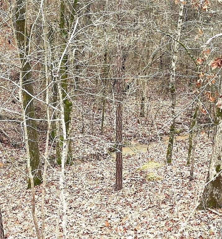 1.2 Acres of Residential Land for Sale in Broken Bow, Oklahoma