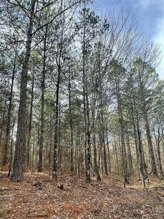 1.128 Acres of Residential Land for Sale in Broken Bow, Oklahoma