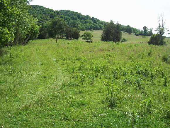 53.4 Acres of Recreational Land & Farm for Sale in Sneedville, Tennessee