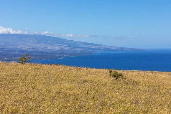 10.2 Acres of Land for Sale in Kapaau, Hawaii