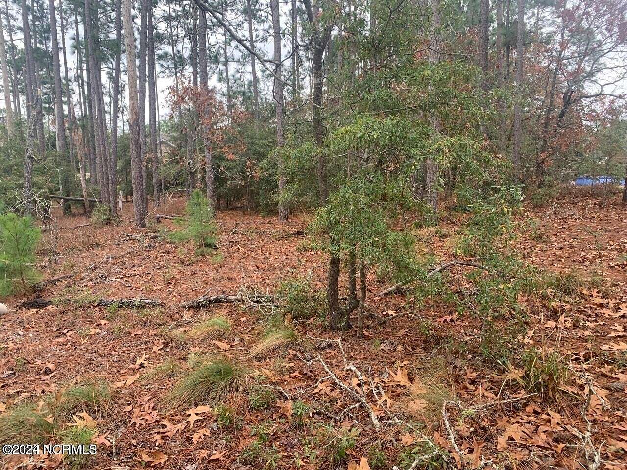 0.72 Acres of Residential Land for Sale in Boiling Spring Lakes, North Carolina