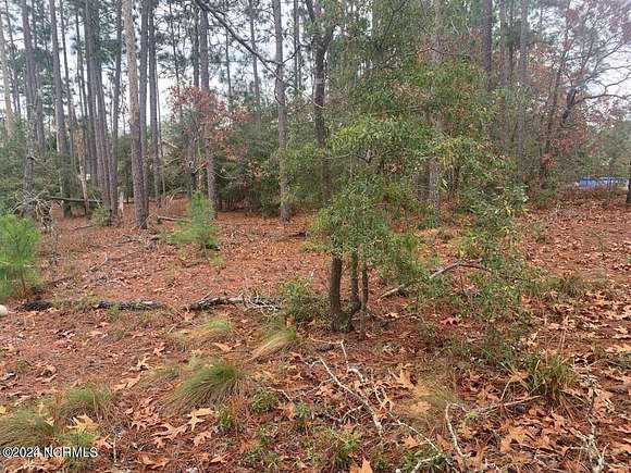 0.72 Acres of Residential Land for Sale in Boiling Spring Lakes, North Carolina