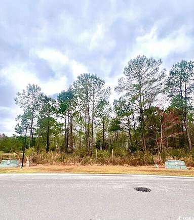 0.68 Acres of Commercial Land for Sale in Myrtle Beach, South Carolina