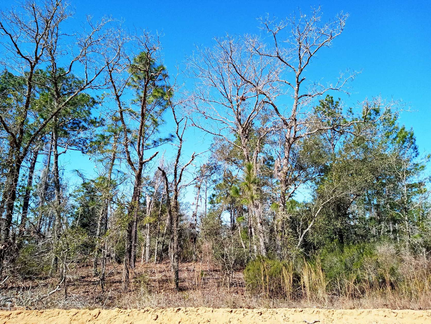 0.77 Acres of Residential Land for Sale in Interlachen, Florida