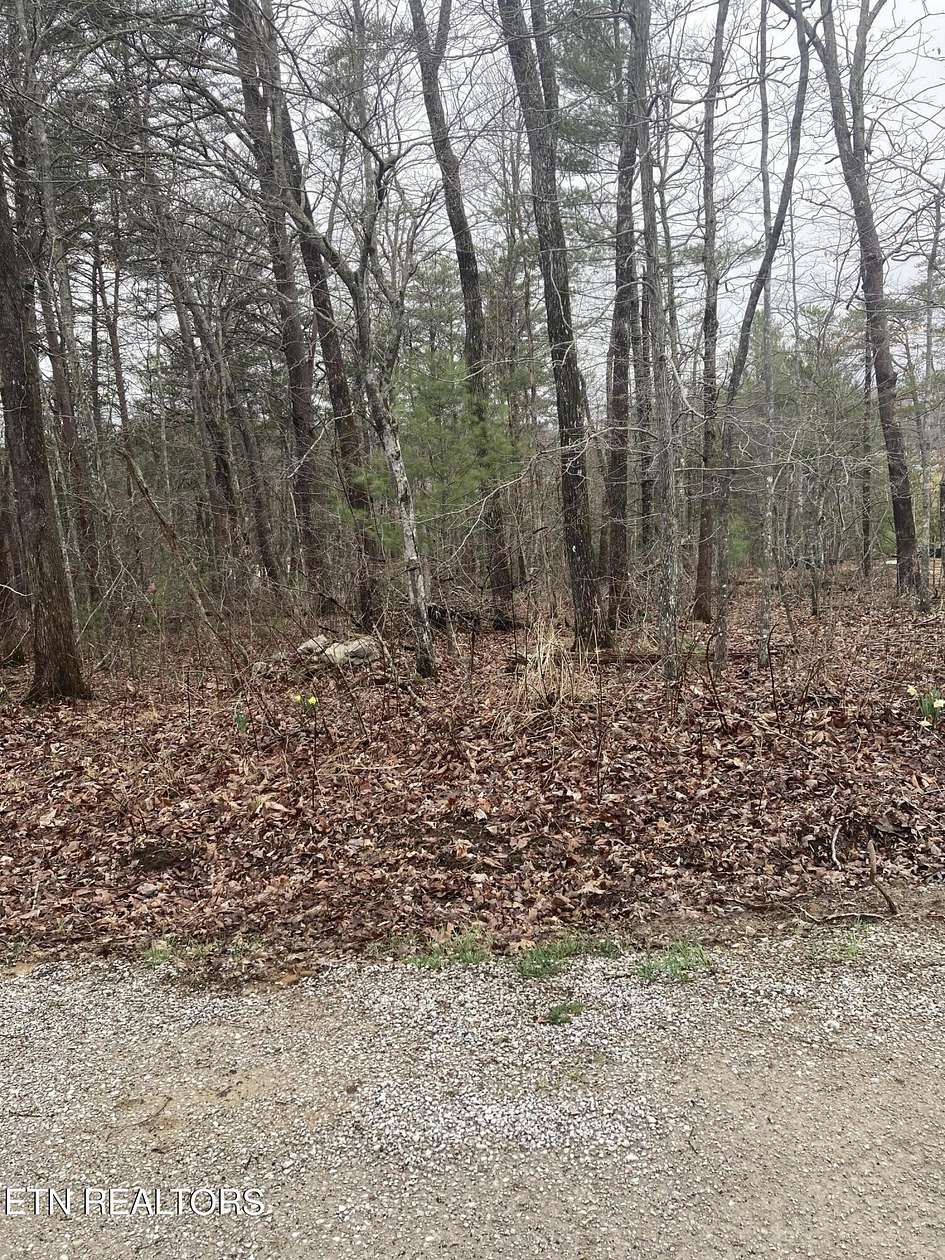 0.26 Acres of Residential Land for Sale in Fairfield Glade, Tennessee