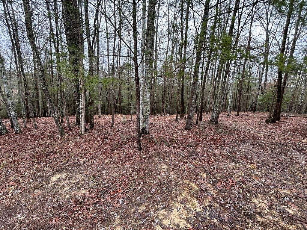 1.4 Acres of Residential Land for Sale in Allardt, Tennessee