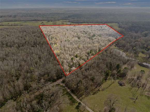 24.5 Acres of Recreational Land for Sale in Pittsburg, Texas
