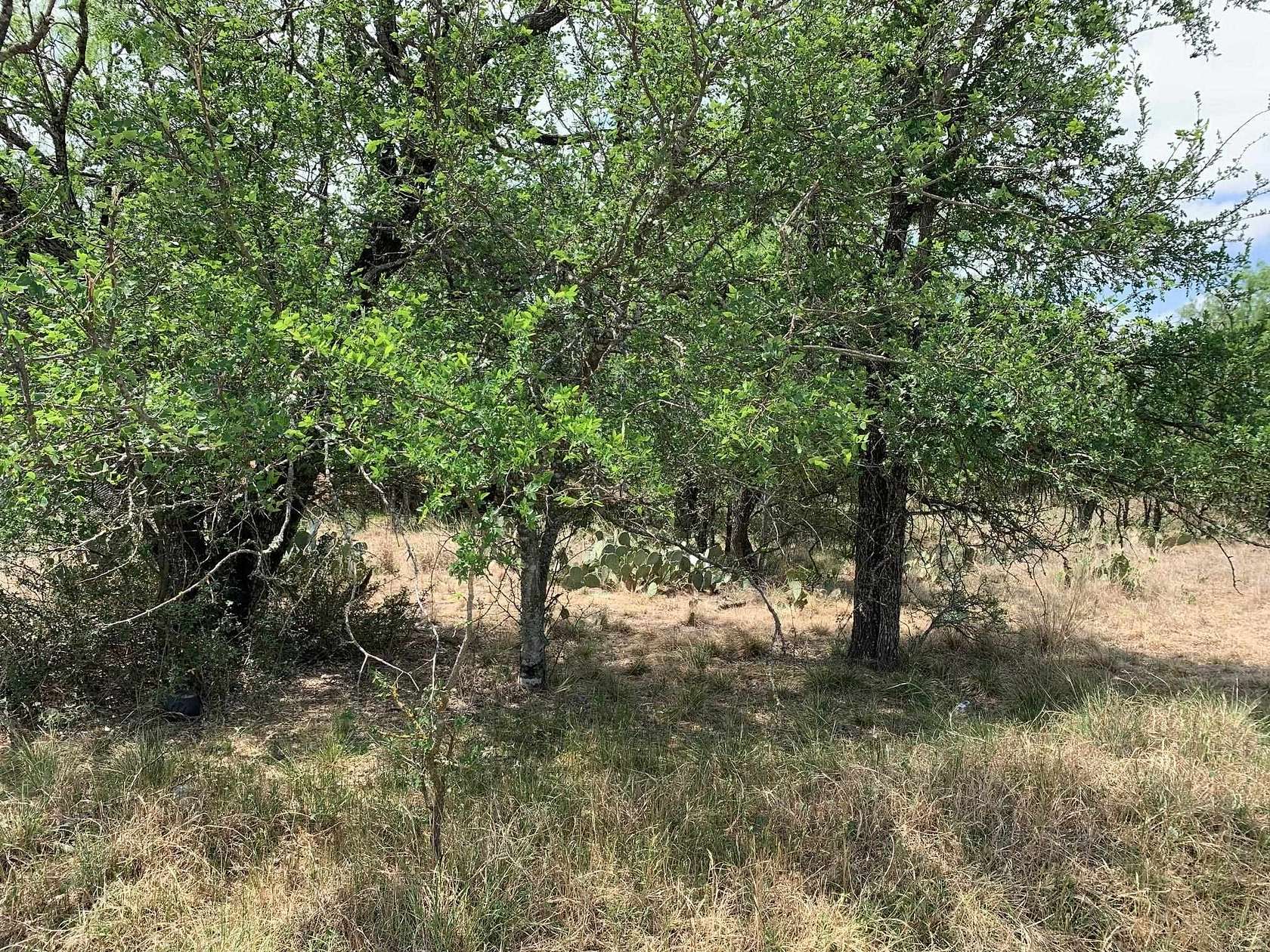 0.75 Acres of Land for Sale in Granite Shoals, Texas