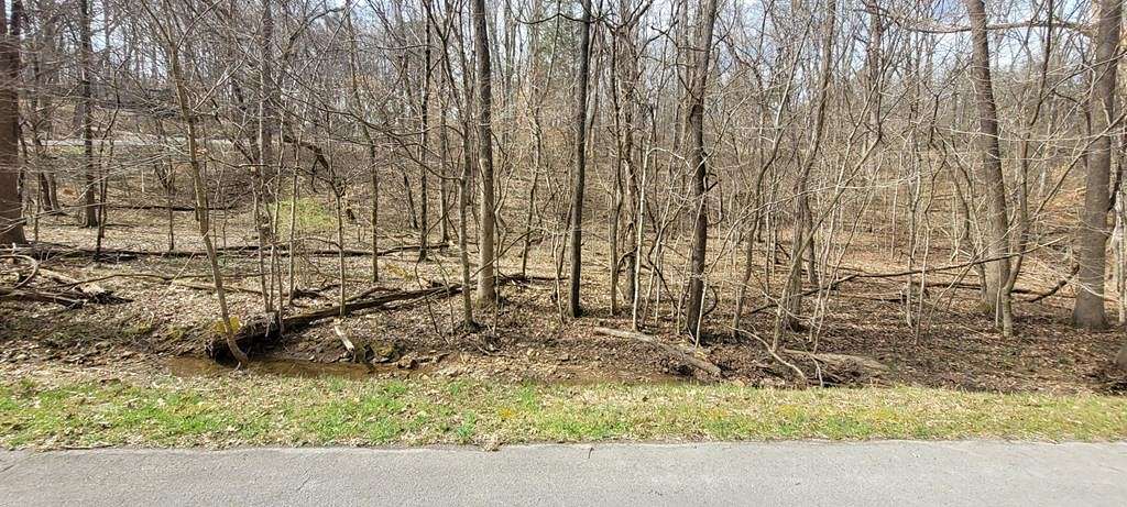 0.34 Acres of Residential Land for Sale in Dover, Tennessee
