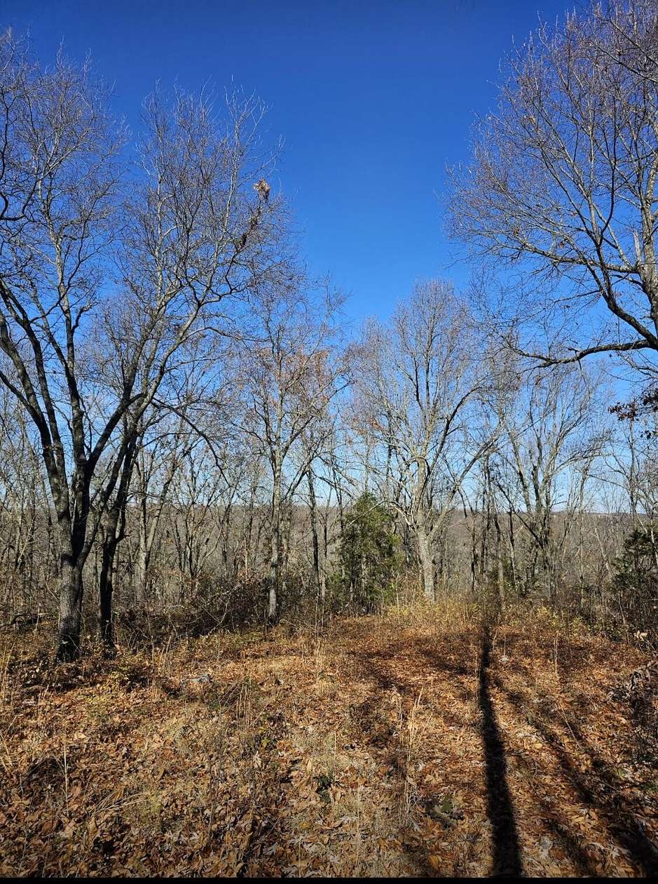 20 Acres of Land for Sale in Omaha, Arkansas
