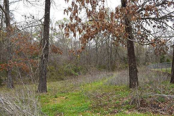 0.26 Acres of Residential Land for Sale in Palestine, Texas