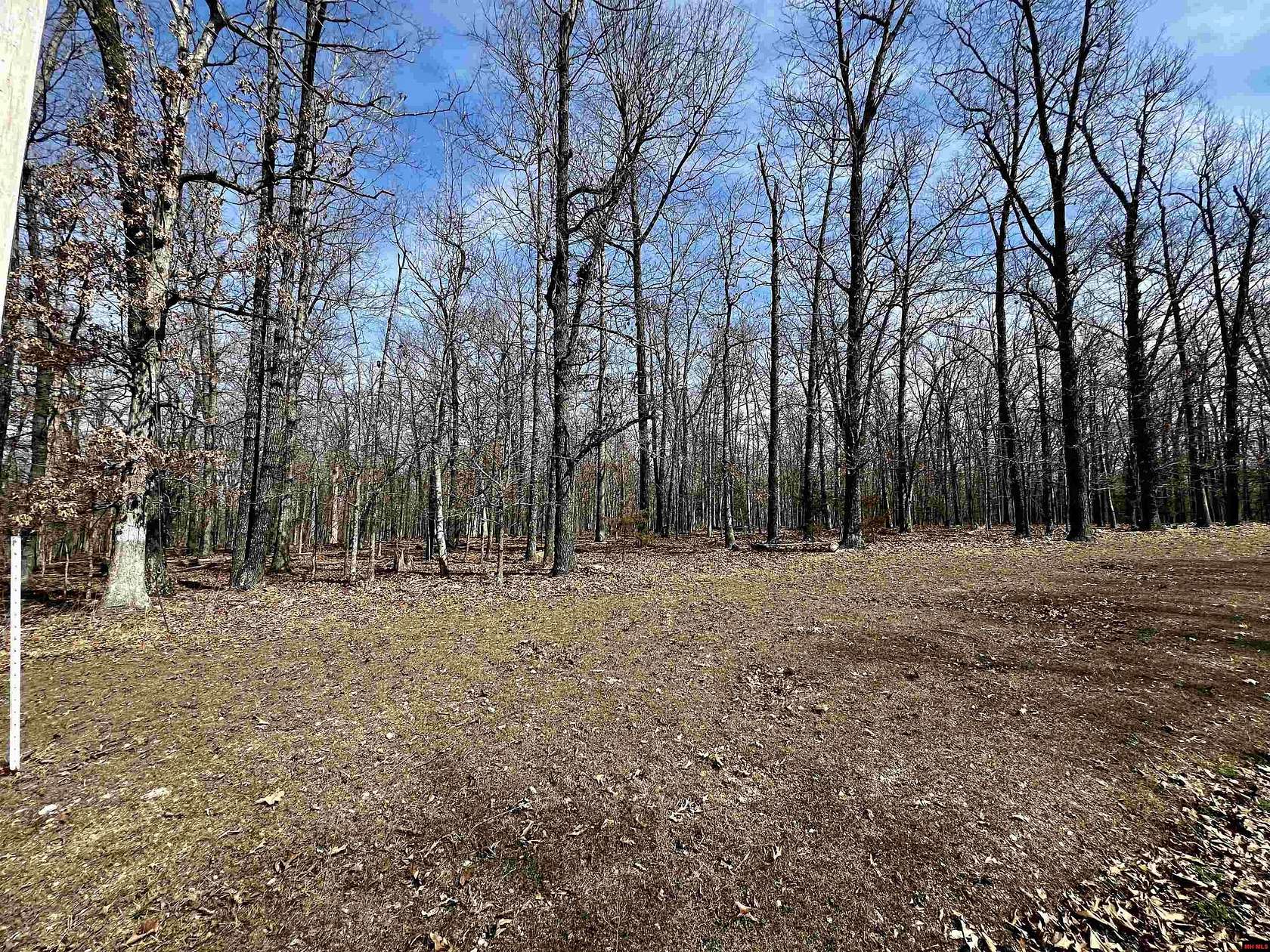 3 Acres of Land for Sale in Yellville, Arkansas