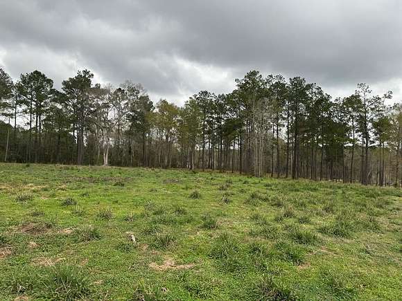 7.4 Acres of Residential Land for Sale in Carriere, Mississippi