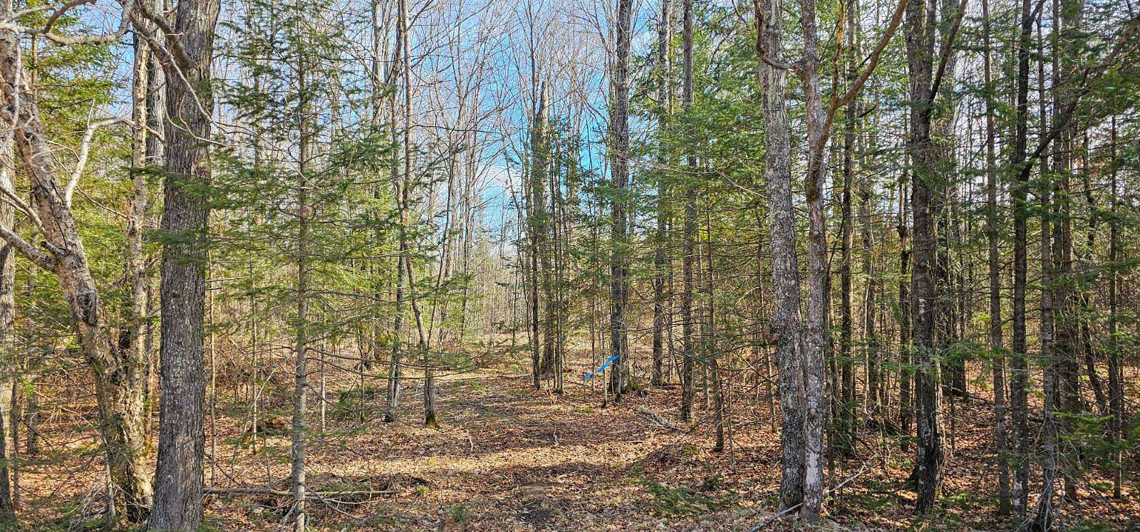 3.4 Acres of Land for Sale in Crandon, Wisconsin
