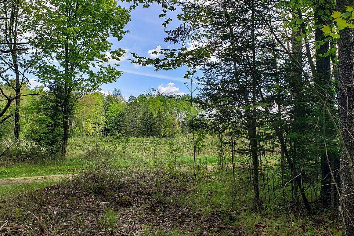 3.4 Acres of Land for Sale in Crandon, Wisconsin