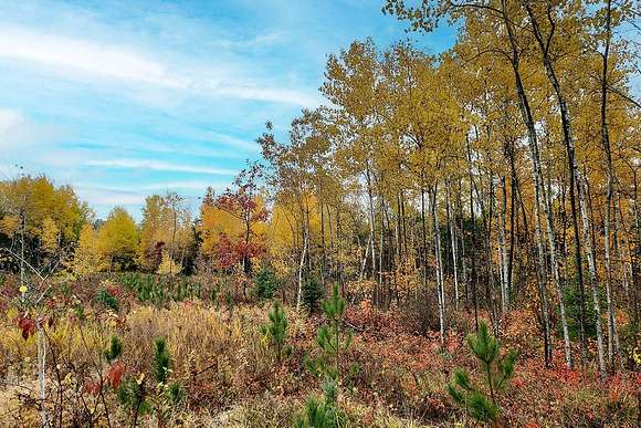 Forest County Secluded Acreage For Sale