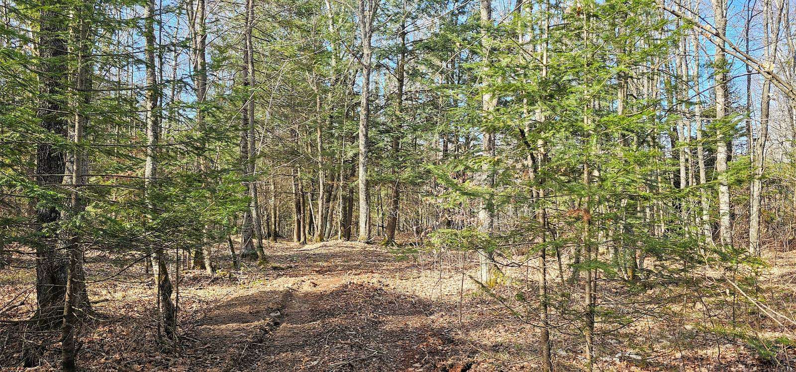 3.7 Acres of Land for Sale in Crandon, Wisconsin