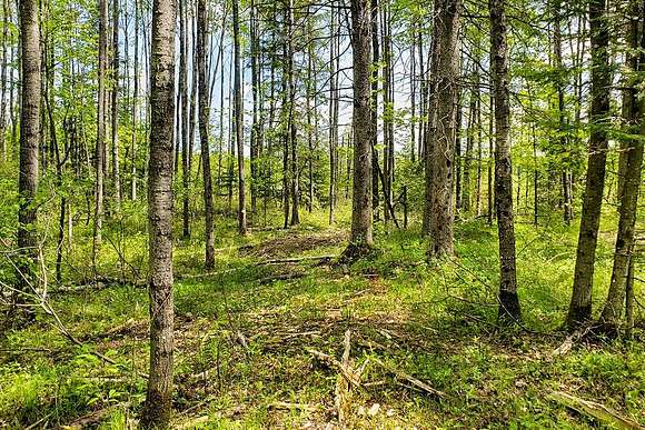 Northwoods Secluded Acreage For Sale