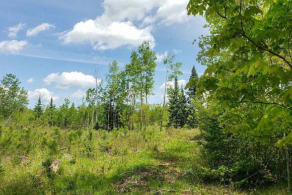 Camp Or Build Forest County Acreage