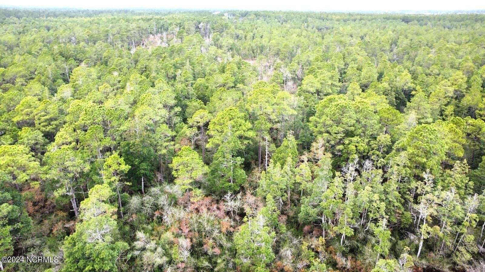 2 Acres of Residential Land for Sale in Boiling Spring Lakes, North Carolina