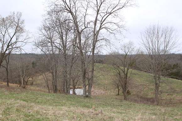 44 Acres of Agricultural Land for Sale in Lawrenceburg, Kentucky