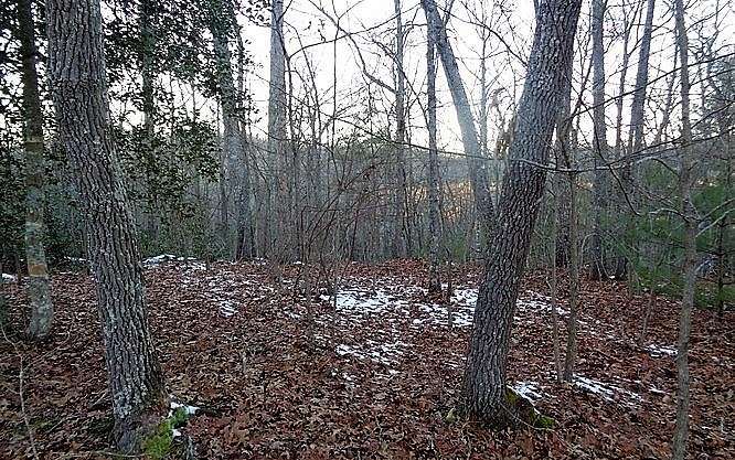 10.5 Acres of Land for Sale in Hayesville, North Carolina