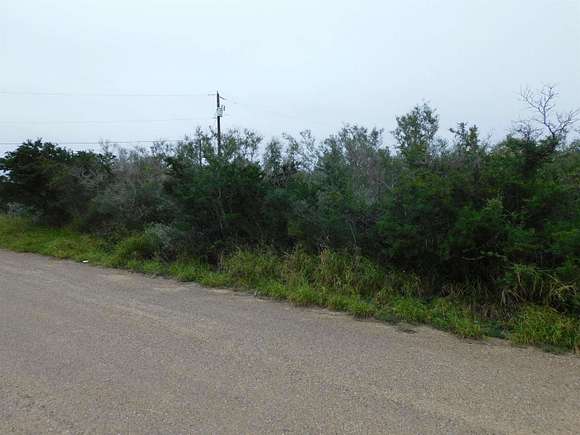0.23 Acres of Residential Land for Sale in Zapata, Texas