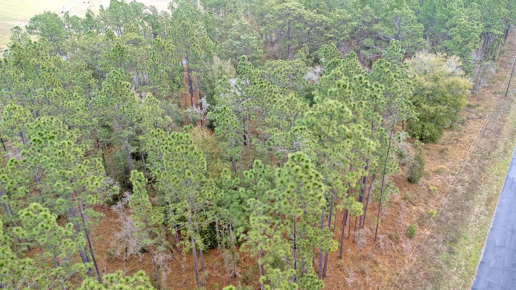 0.24 Acres of Residential Land for Sale in Dunnellon, Florida