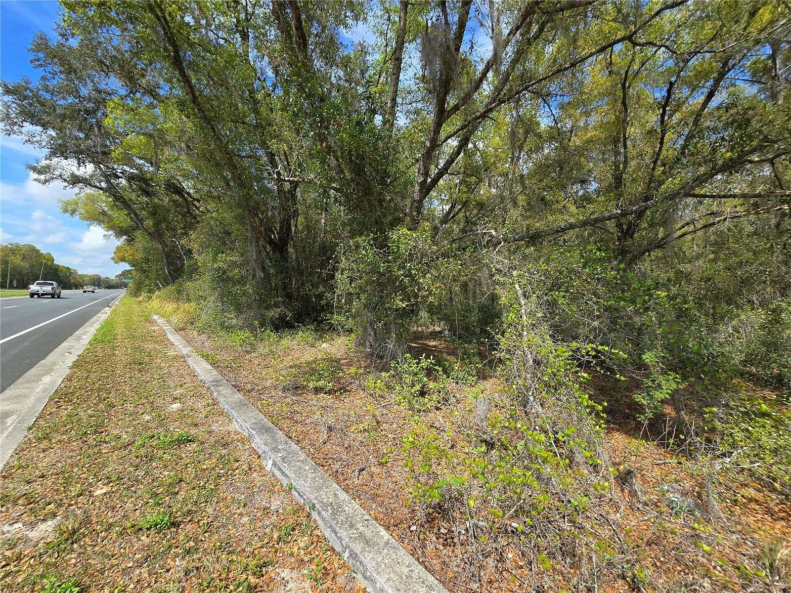 3.9 Acres of Residential Land for Sale in Ocala, Florida