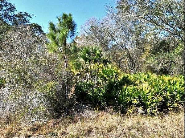 0.28 Acres of Land for Sale in North Port, Florida