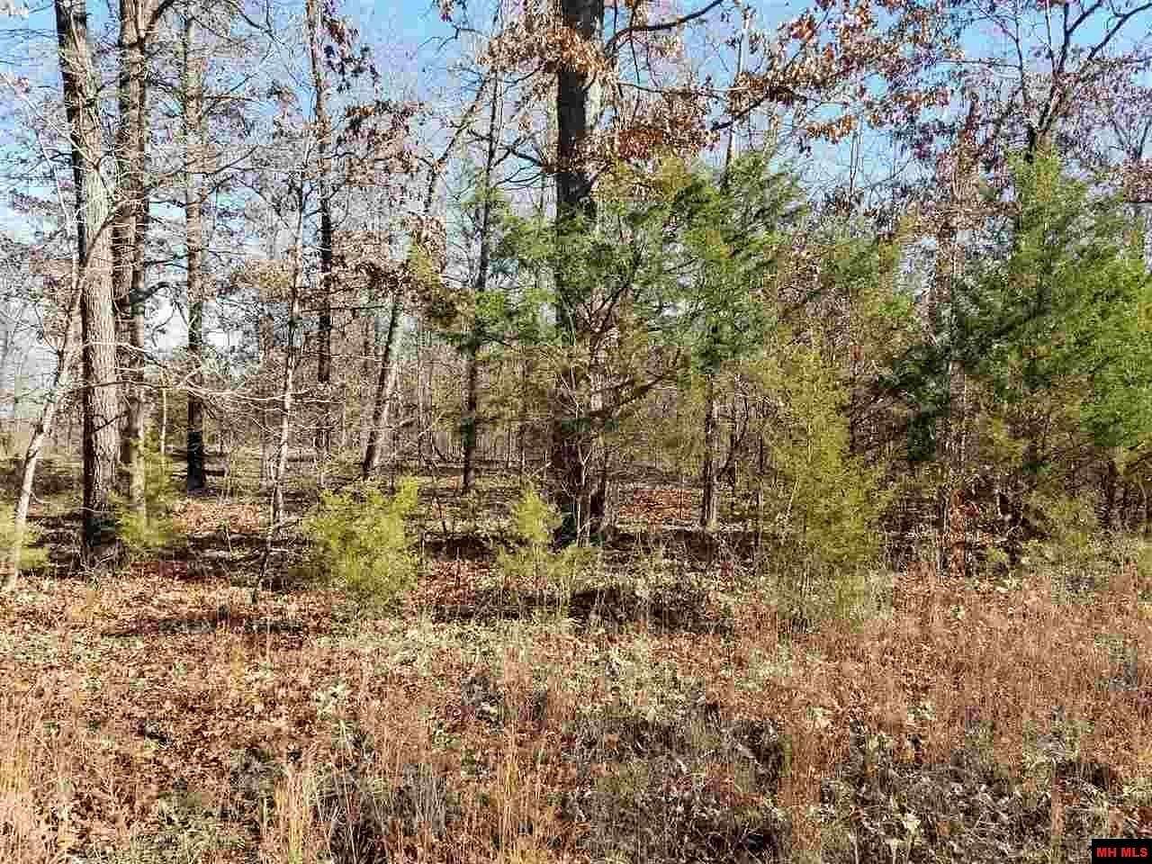 1 Acre of Residential Land for Sale in Yellville, Arkansas