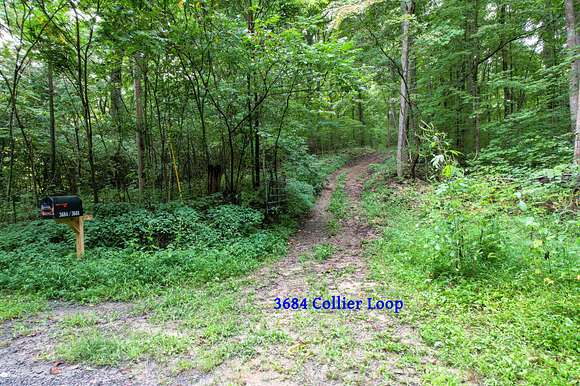 7.2 Acres of Land for Sale in Dandridge, Tennessee