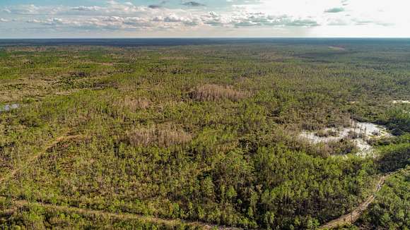 116 Acres of Recreational Land for Sale in Perry, Florida
