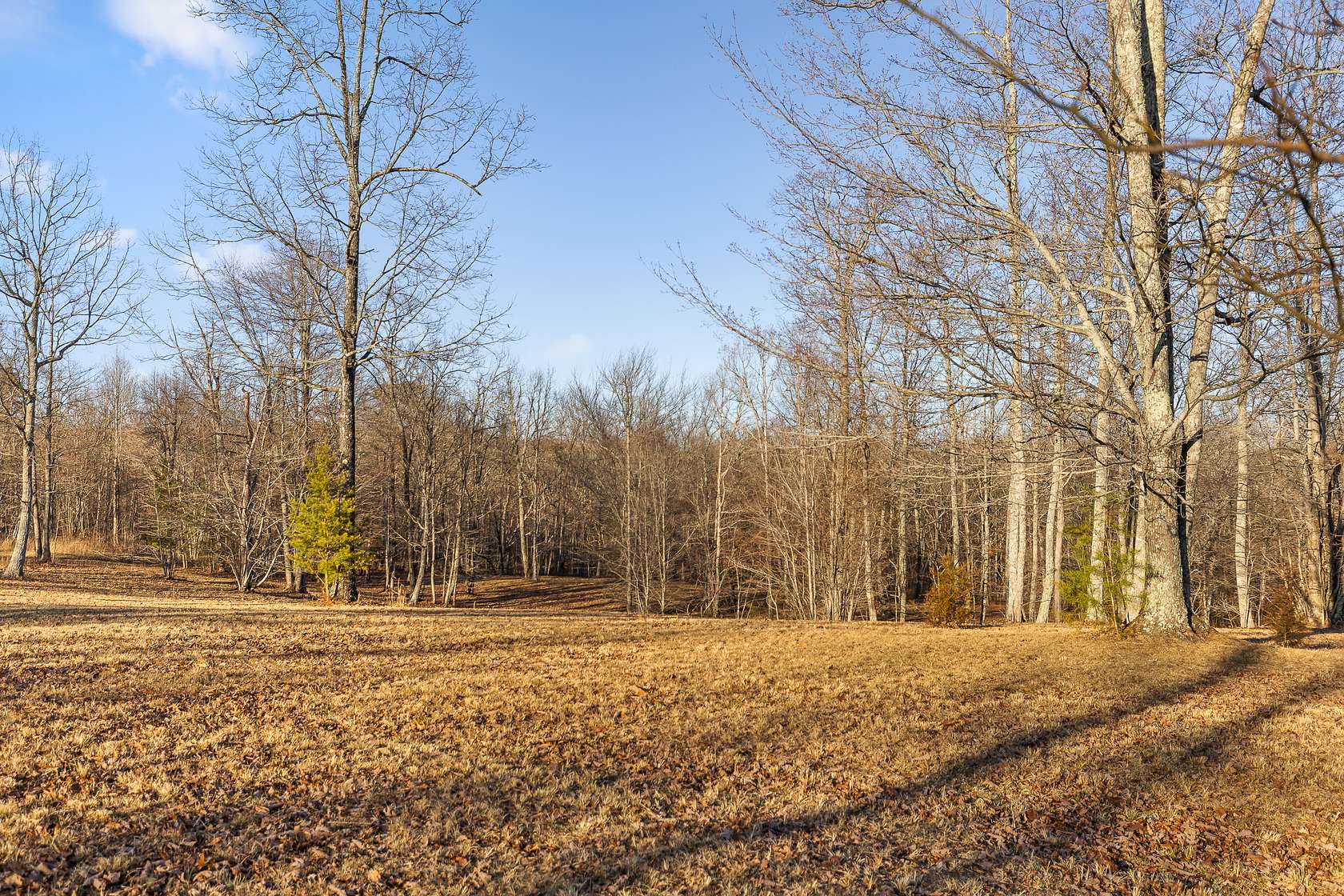 3.5 Acres of Recreational Land for Sale in Dunlap, Tennessee