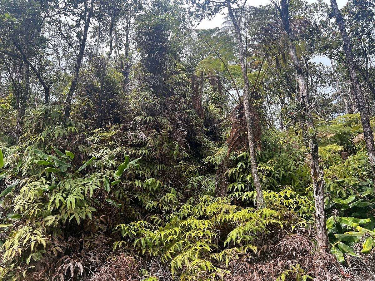 0.36 Acres of Land for Sale in Volcano, Hawaii