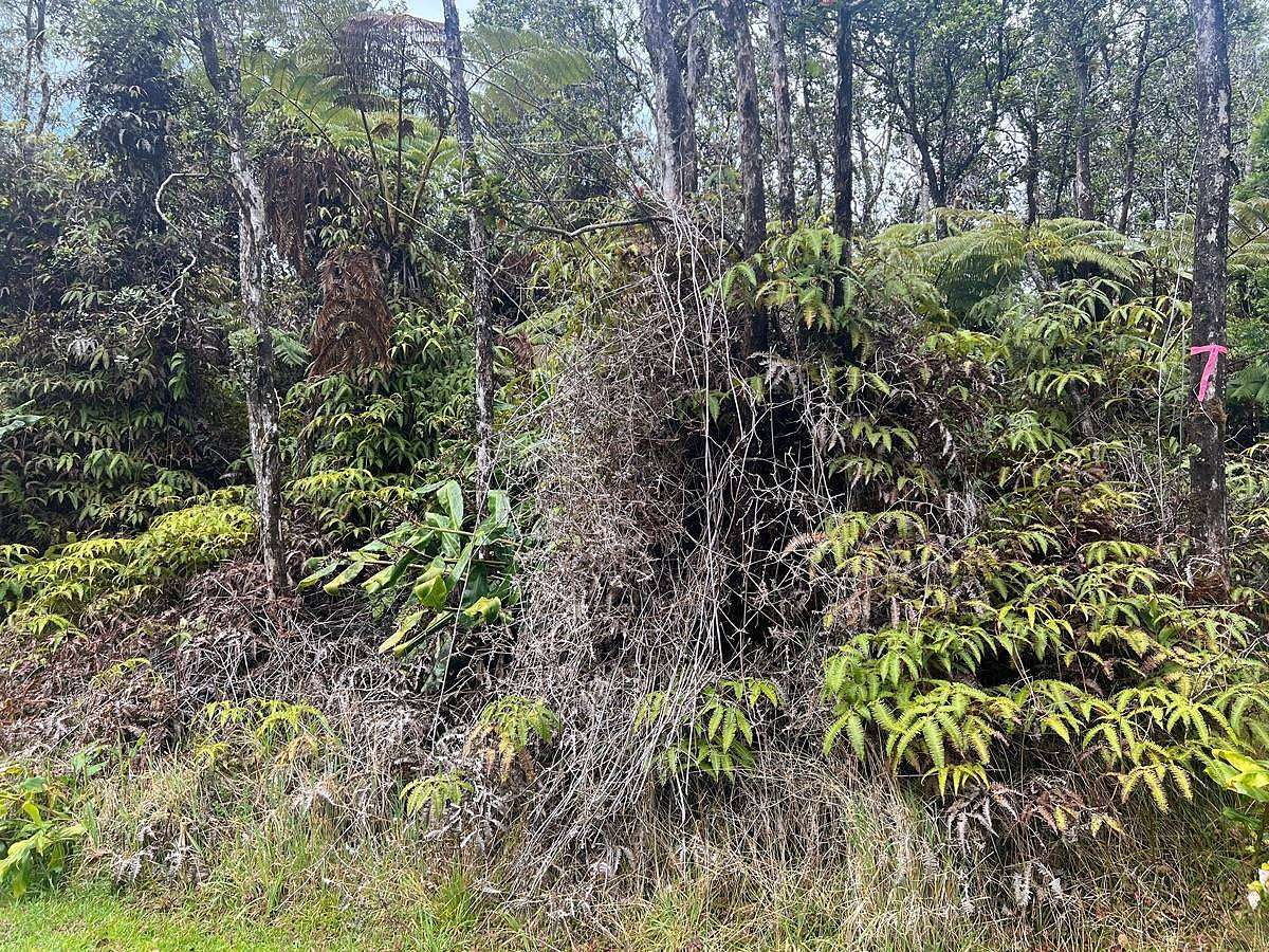 0.21 Acres of Land for Sale in Volcano, Hawaii