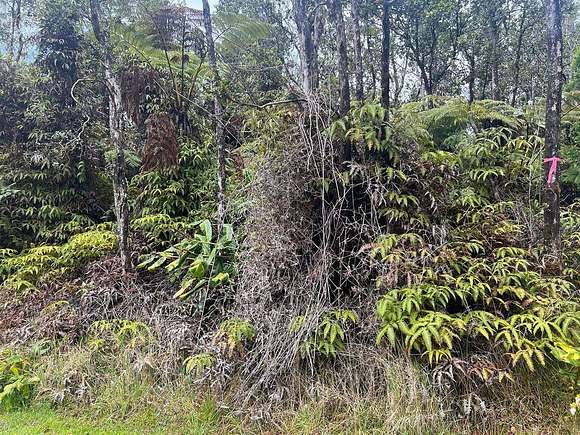 0.21 Acres of Land for Sale in Volcano, Hawaii