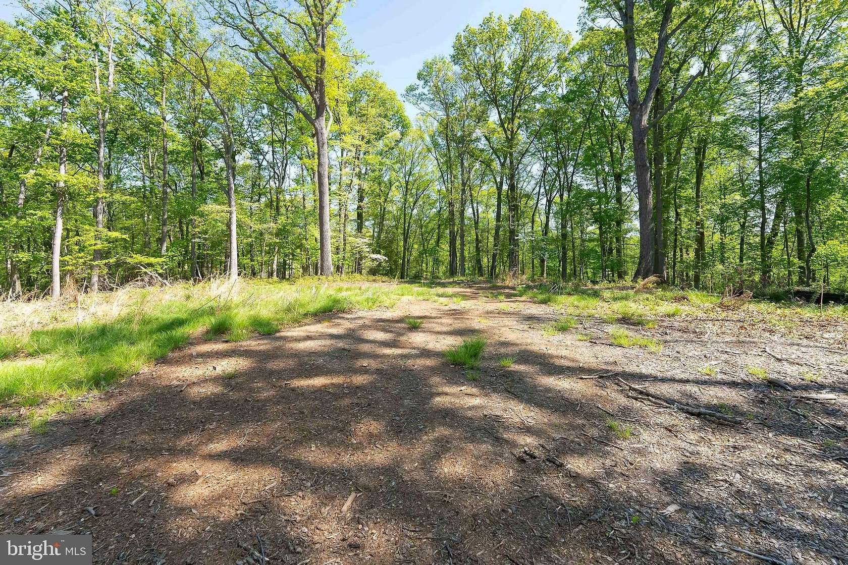 5.8 Acres of Residential Land for Sale in Great Falls, Virginia