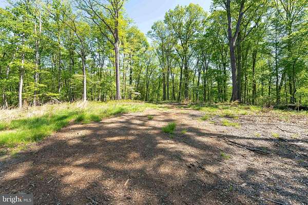 5.8 Acres of Residential Land for Sale in Great Falls, Virginia