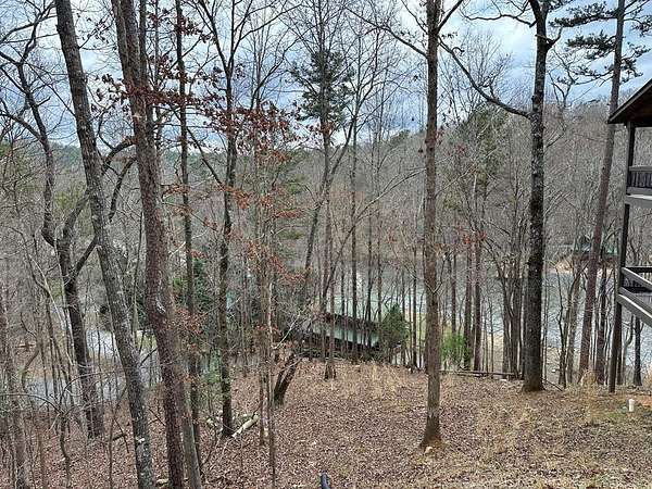 Land for Sale in Ellijay, Georgia