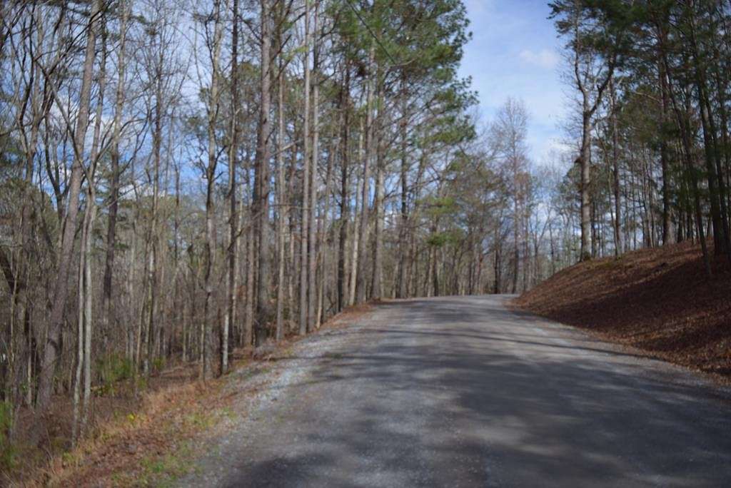 1 Acre of Residential Land for Sale in Ellijay, Georgia