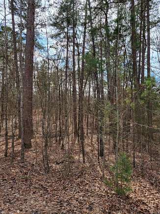 0.45 Acres of Residential Land for Sale in Hot Springs Village, Arkansas