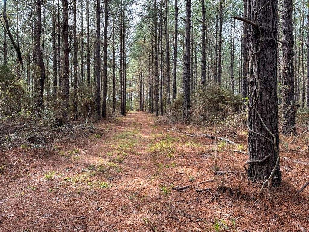 6.2 Acres of Residential Land for Sale in Lufkin, Texas