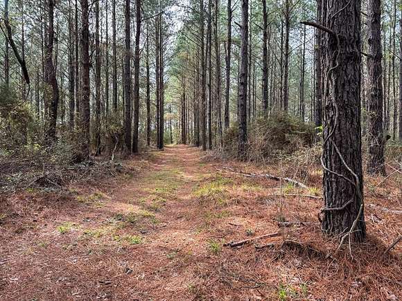 6.2 Acres of Residential Land for Sale in Lufkin, Texas