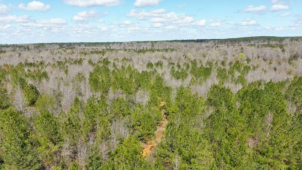 59.79 Acres of Land for Sale in Ruth, Mississippi