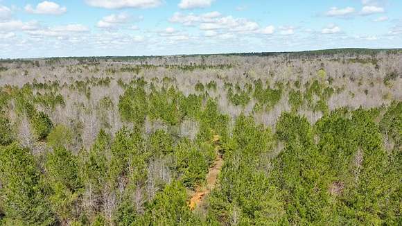 59.8 Acres of Land for Sale in Ruth, Mississippi