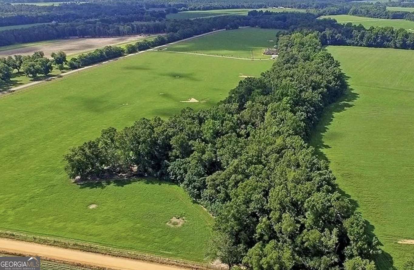 5.1 Acres of Residential Land for Sale in Portal, Georgia